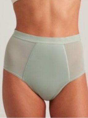 Leakproof High-Waist French Cut Panty - Mountain Sage (XL)
